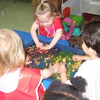 Gallery image 12